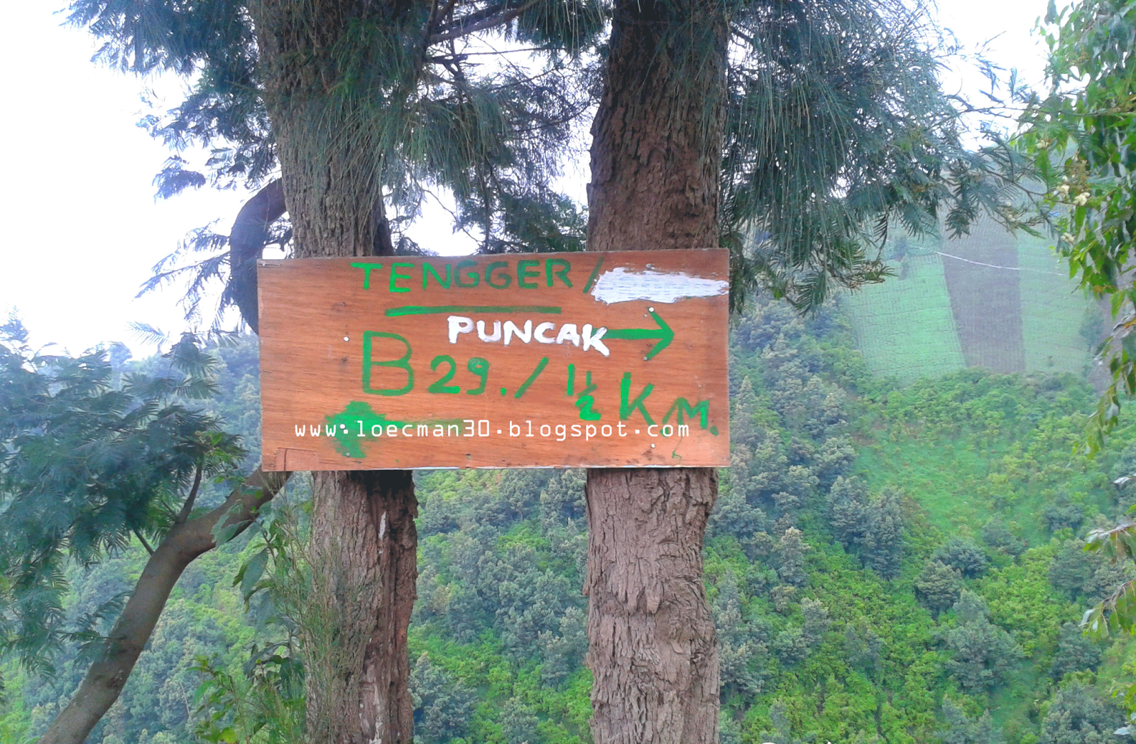 B-29 Negeri diatas awan ( lumajang jawa timur )